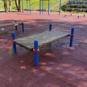 Купить Помост для выполнения испытания "Сгибание-разгибание рук в упоре лежа на полу" в Артёмовске 